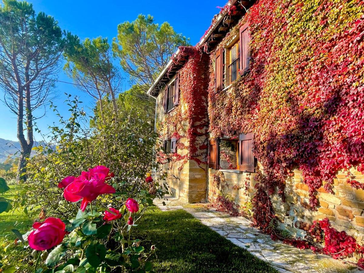 La Panoramica Gubbio - Maison De Charme - Casette E Appartamenti Self Catering Per Vacanze Meravigliose! Экстерьер фото