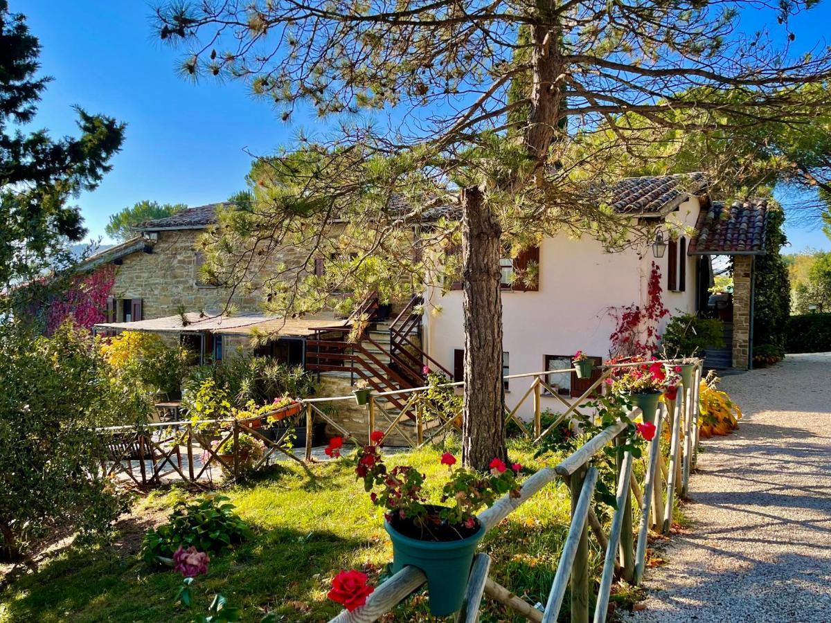 La Panoramica Gubbio - Maison De Charme - Casette E Appartamenti Self Catering Per Vacanze Meravigliose! Экстерьер фото