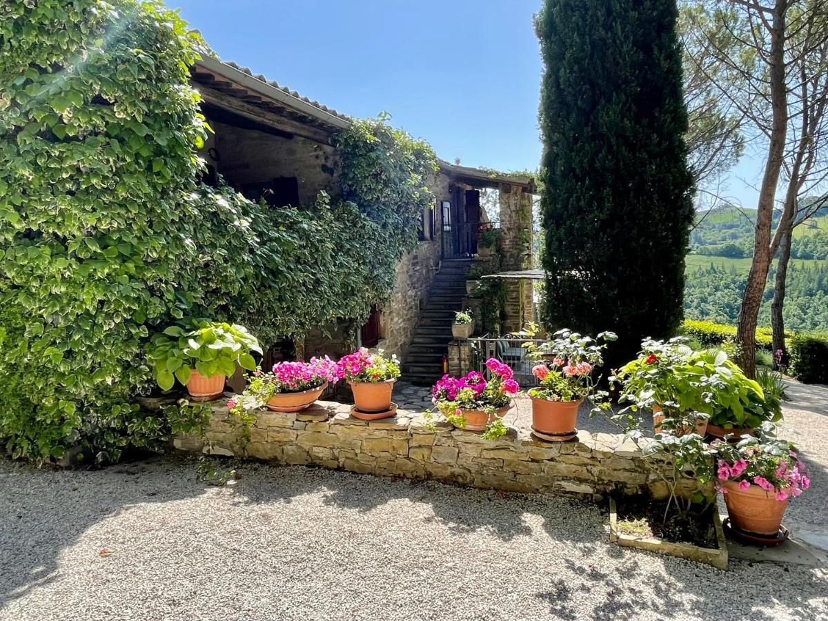 La Panoramica Gubbio - Maison De Charme - Casette E Appartamenti Self Catering Per Vacanze Meravigliose! Экстерьер фото