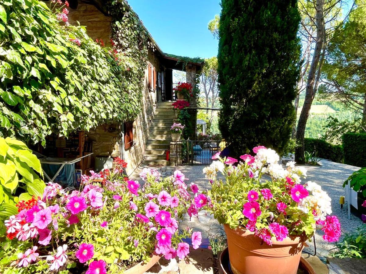 La Panoramica Gubbio - Maison De Charme - Casette E Appartamenti Self Catering Per Vacanze Meravigliose! Экстерьер фото